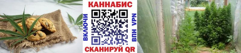 где найти наркотики  Саранск  Еда ТГК марихуана 
