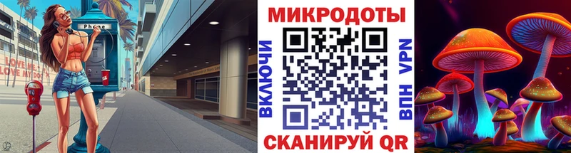 Псилоцибиновые грибы Psilocybine cubensis  Саранск 